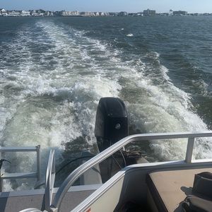 Meet your Posher, Marie